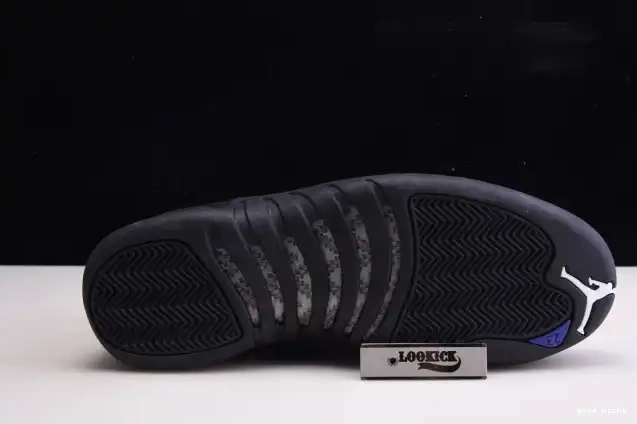 Rep 'Dark 005 Retro Jordan Air CT8013 Concord' 12 0502